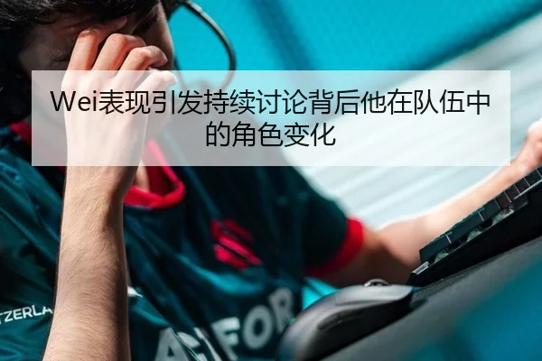 Wei表现引发持续讨论背后他在队伍中的角色变化